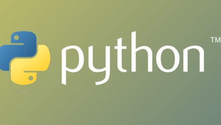 Python Nedir?